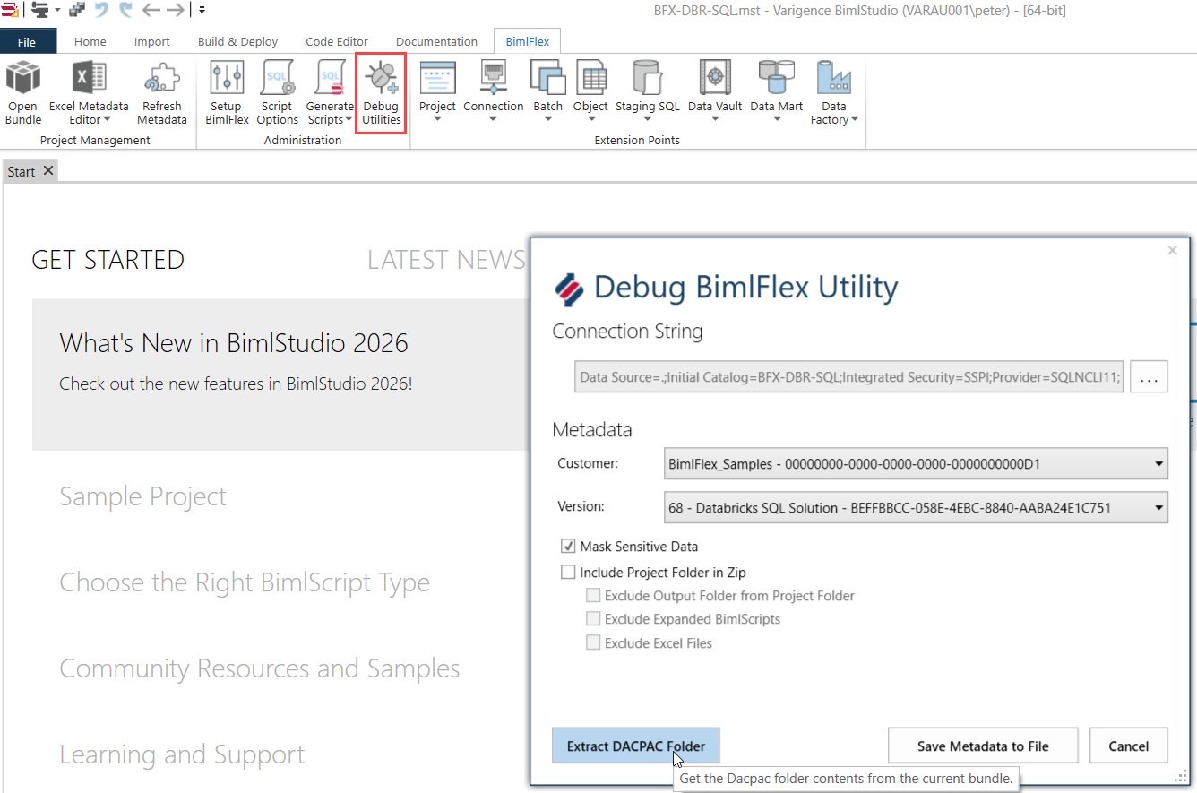 Debug Utilities button on the BimlFlex ribbon Debug Utilities Button