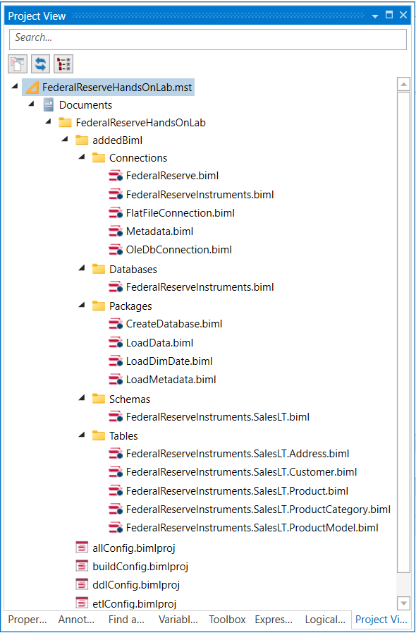 Project View