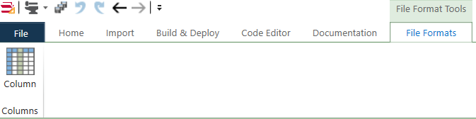 File Format Ribbon