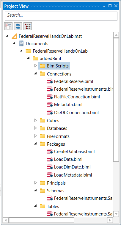 Project View Tool Window